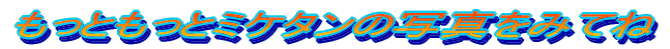 �����Ƃ����ƃ~�P�^���̎ʐ^���݂Ă�